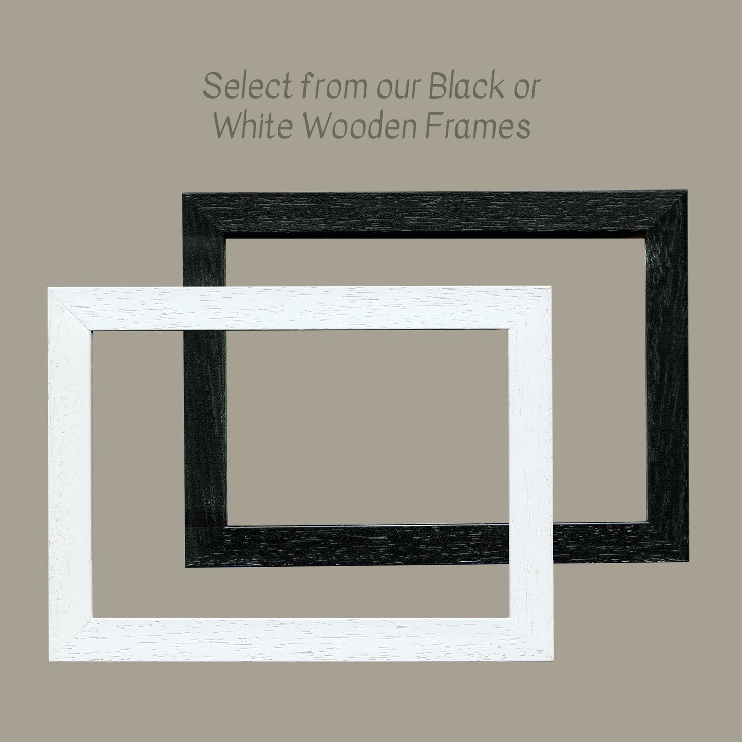 Wildwood - Limited Edition Print