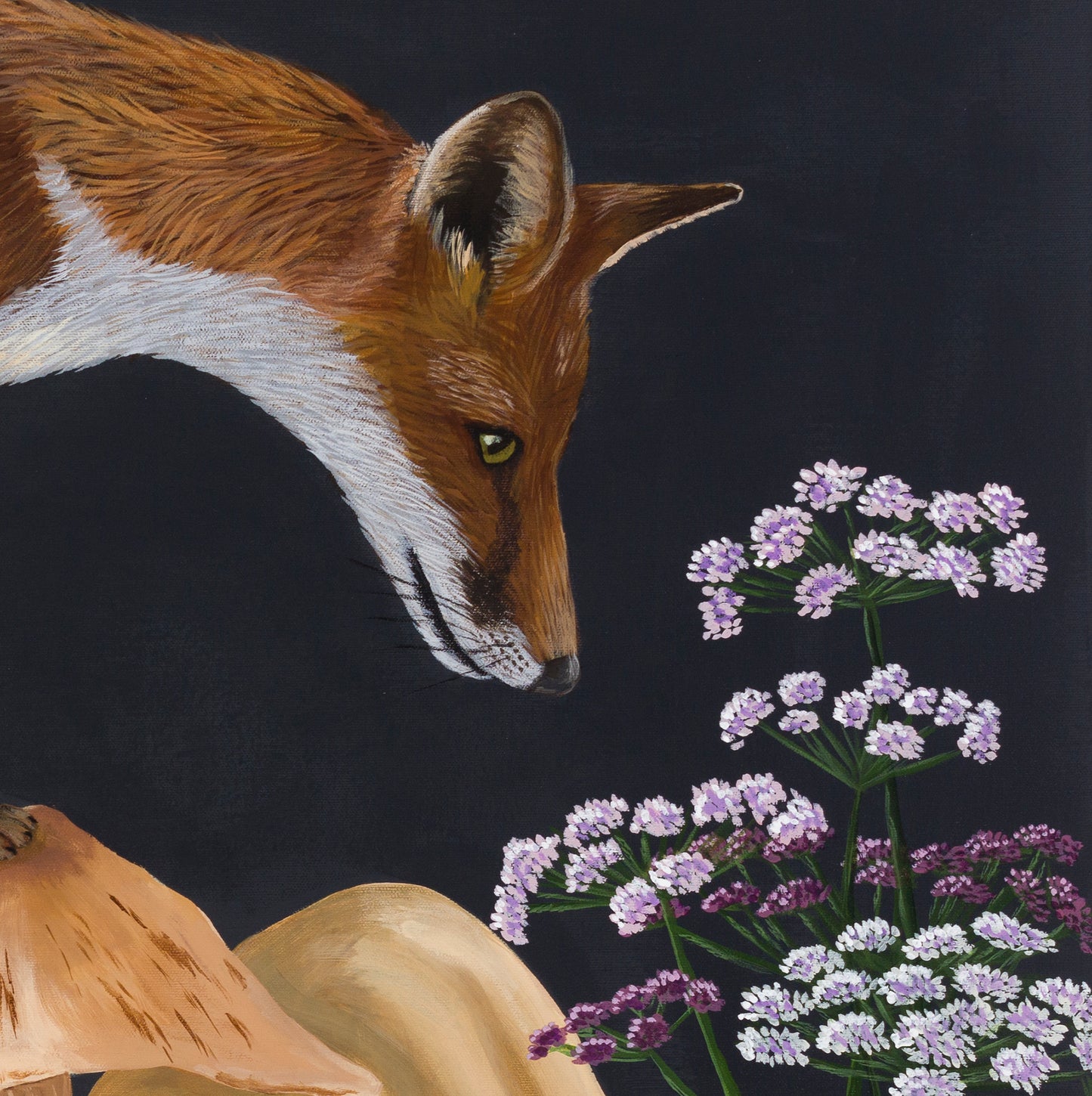 Vulpes Mycelia - Limited Edition Print