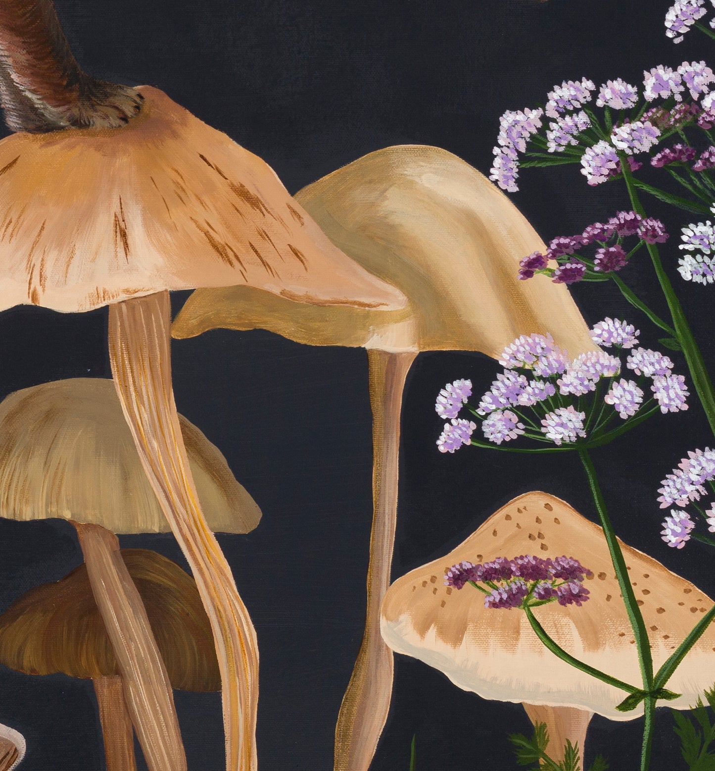 Vulpes Mycelia - Limited Edition Print