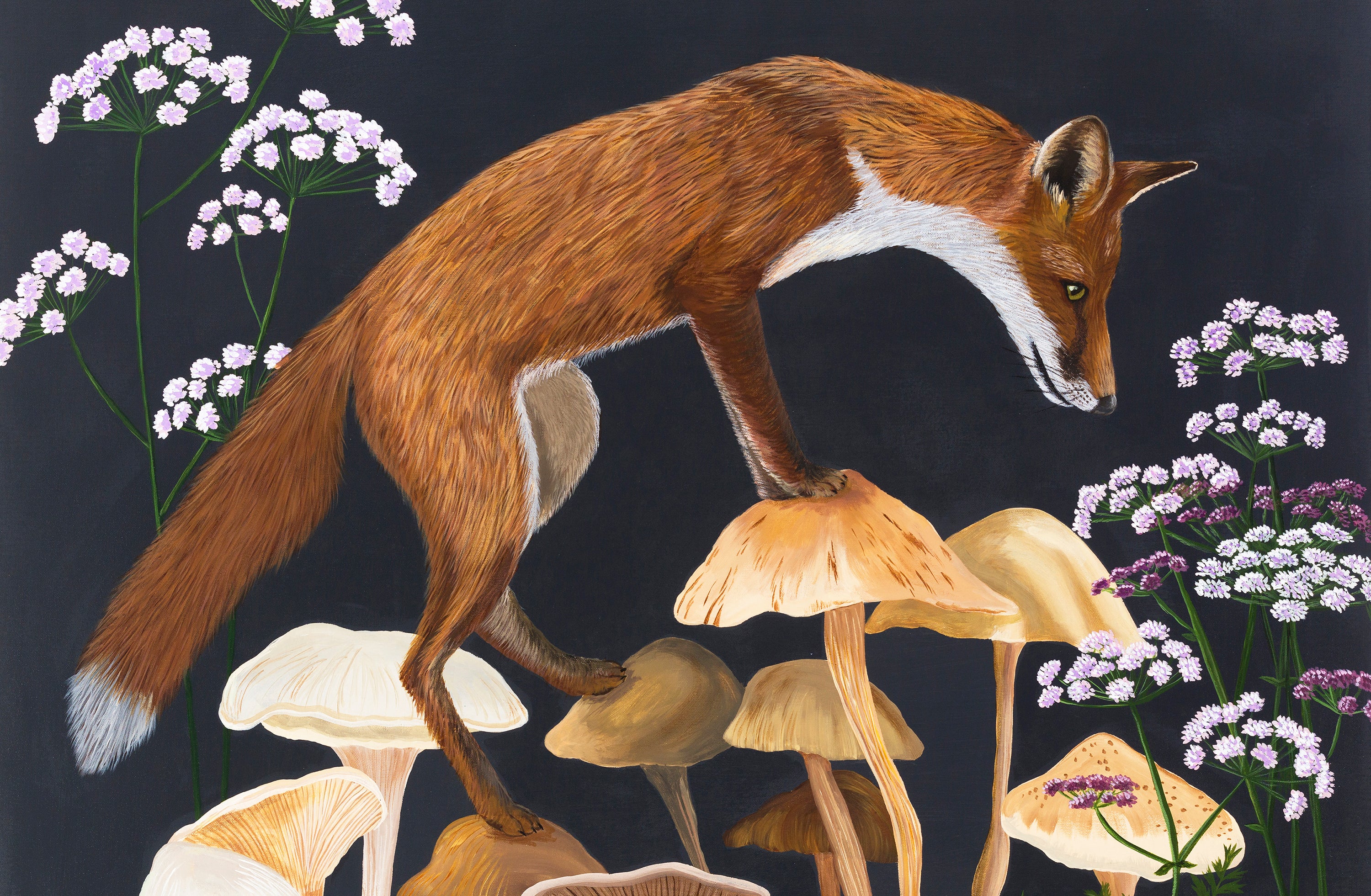 Fox painting by Kelly Stevens-McLaughlan